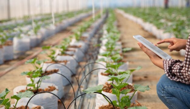 Lo &ldquo;smart farming&rdquo; diventa una priorit&agrave; globale per garantire la sicurezza alimentare