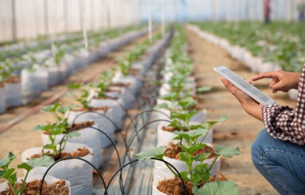 AGRICOLTURA, DIGITALIZZAZIONE, FAO, INNOVAZIONE, SMART FARMING, Non Solo Vino
