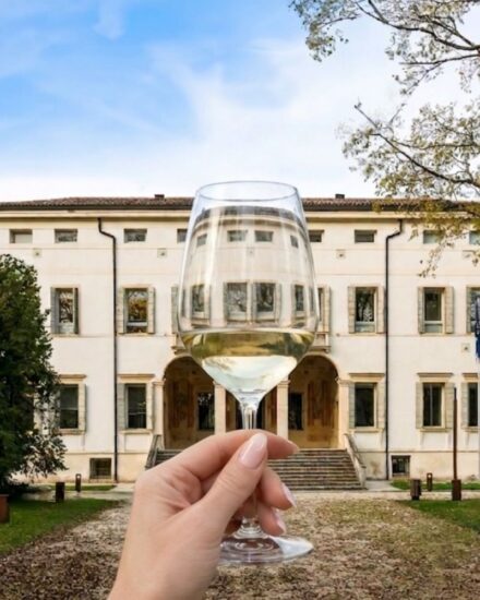 “Sorsi d’Autore” a Villa Bassi Rathgeb con lo storico dell’arte Jacopo Veneziani e i vini Bottega (ph: Facebook/Museo Villa Bassi)