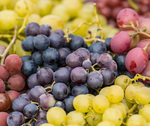 Uva da tavola, export vicino a 1 miliardo di euro: Puglia leader, boom per la variet&agrave; &ldquo;senza semi&rdquo;