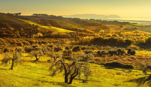 Rinnovabili, il &ldquo;no&rdquo; del Consorzio Vini Suvereto e Val di Cornia: &ldquo;profonde ricadute sul paesaggio&rdquo;