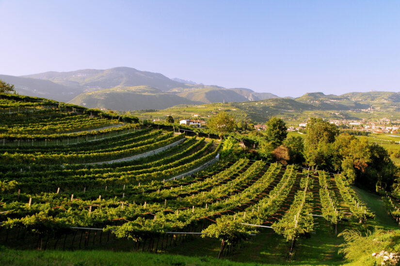La Valpolicella, uno dei territori del vino più importanti d’Italia
