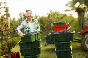 &ldquo;Le imprese del vino che investono in benessere emotivo risultano pi&ugrave; produttive&rdquo;