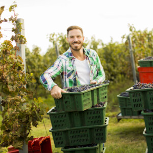 &ldquo;Le imprese del vino che investono in benessere emotivo risultano pi&ugrave; produttive&rdquo;
