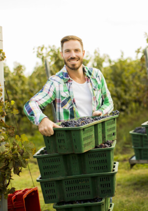 &ldquo;Le imprese del vino che investono in benessere emotivo risultano pi&ugrave; produttive&rdquo;