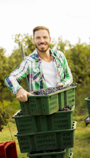 &ldquo;Le imprese del vino che investono in benessere emotivo risultano pi&ugrave; produttive&rdquo;