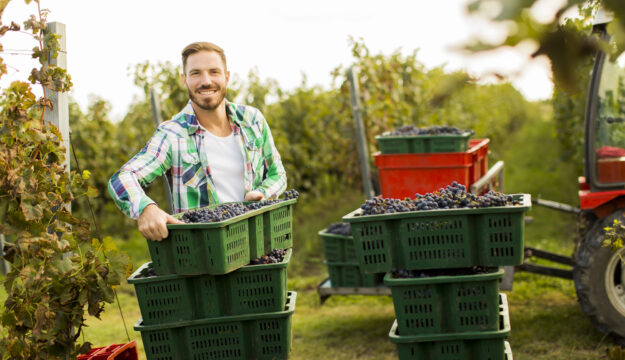 &ldquo;Le imprese del vino che investono in benessere emotivo risultano pi&ugrave; produttive&rdquo;