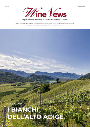 I Quaderni di WineNews - I Bianchi dell'Alto Adige