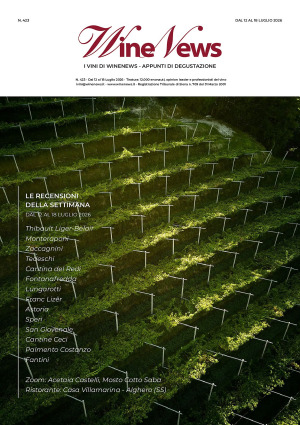 I Vini di WineNews - N. 423