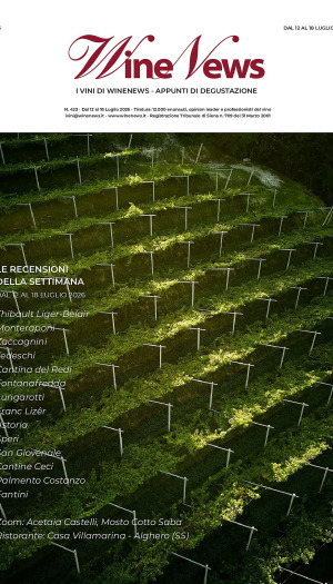 I Vini di WineNews