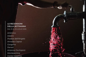 I Vini di WineNews - N. 424