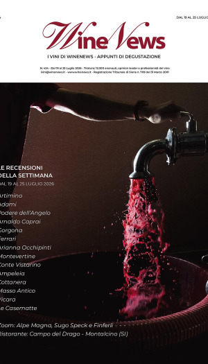I Vini di WineNews
