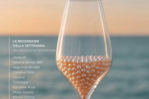 I Vini di WineNews - N. 425