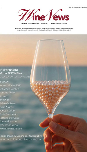 I Vini di WineNews