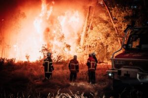 Incendi in Francia, situazione difficile a Bordeaux: gli agricoltori in prima linea negli aiuti