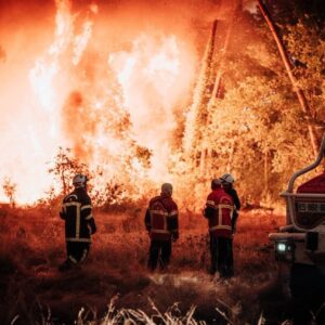 Incendi in Francia, situazione difficile a Bordeaux: gli agricoltori in prima linea negli aiuti