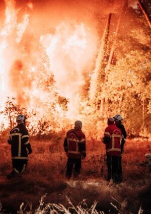 Incendi in Francia, situazione difficile a Bordeaux: gli agricoltori in prima linea negli aiuti