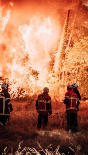 Incendi in Francia, situazione difficile a Bordeaux: gli agricoltori in prima linea negli aiuti