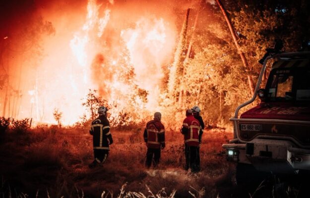 Bordeaux, FRANCIA, GIRONDA, INCENDI, vino, Mondo