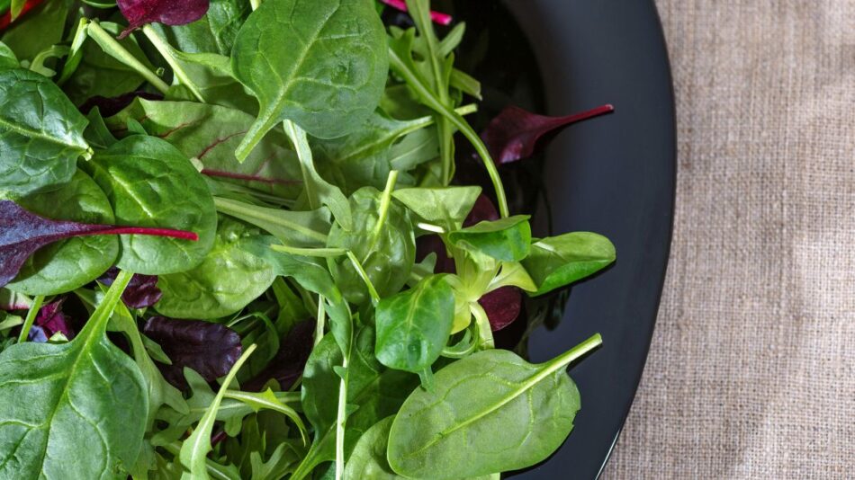 Fresh salad with arugula, romaine and spinach. A view from above.