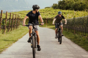 L&rsquo;Alto Adige dei grandi vini bianchi di eccellenza punta sul binomio enoturismo-cicloturismo