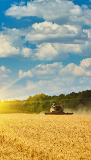 Lavoro, sostenibilit&agrave;, innovazione e non solo: l&rsquo;agricoltura torna al centro del Meeting di Rimini