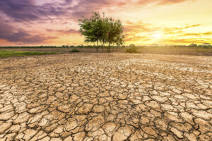 Agricoltura tra siccit&agrave; e alluvioni: sete per l&rsquo;11% delle colture, secondo il rapporto Ocse