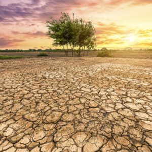 Agricoltura tra siccit&agrave; e alluvioni: sete per l&rsquo;11% delle colture, secondo il rapporto Ocse