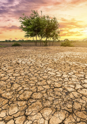 Agricoltura tra siccit&agrave; e alluvioni: sete per l&rsquo;11% delle colture, secondo il rapporto Ocse