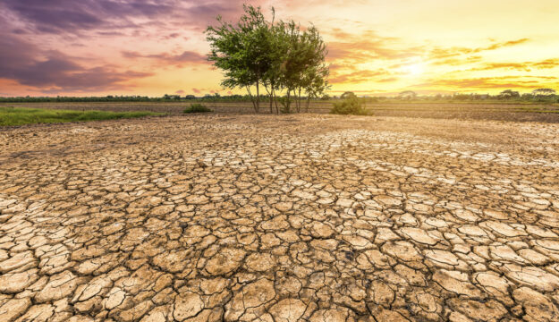 Agricoltura tra siccit&agrave; e alluvioni: sete per l&rsquo;11% delle colture, secondo il rapporto Ocse