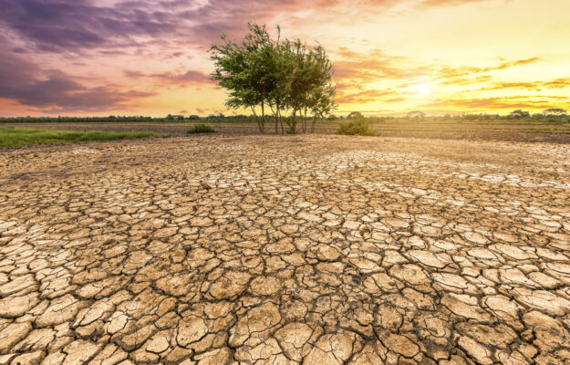 ACQUA, AGRICOLTURA, ALLUVIONI, OCSE, SICCITA', World Water Week, Non Solo Vino
