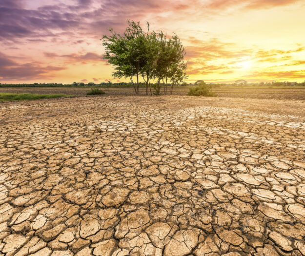 Agricoltura tra siccit&agrave; e alluvioni: sete per l&rsquo;11% delle colture, secondo il rapporto Ocse