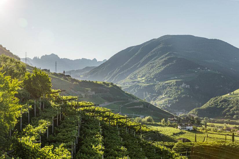 Alto Adige, terra di grandi vini bianchi e dei vigneti più redditizi d’Italia secondo Aawe (ph: Tiberio Sorvillo)