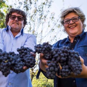 Che vino sono? Qual &egrave; il vitigno di riferimento? Come abbinarlo? Braida si racconta con un quiz
