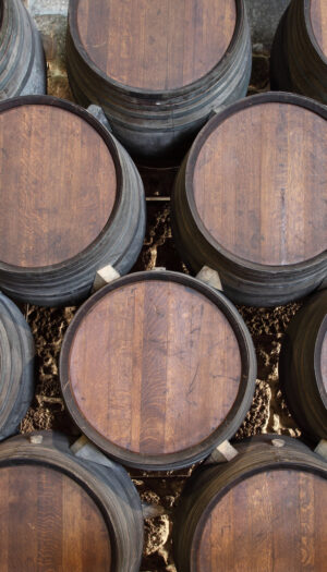 &ldquo;Cantina Italia&rdquo;, giacenze di vino ancora in surplus sul 2025: 42,6 milioni di ettolitri (+6,9%)