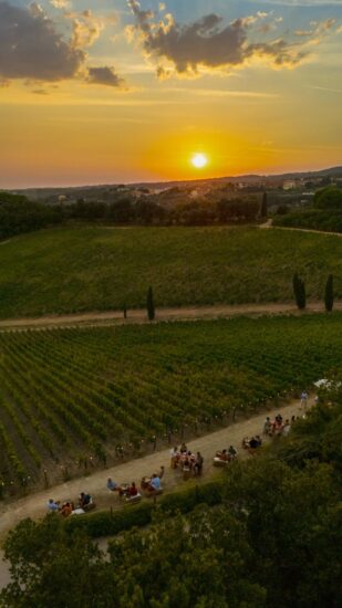 Al “Caiarossa Sunset” sulla Costa Toscana debutta il percorso di degustazione “Icons tra Oggi e Ieri”