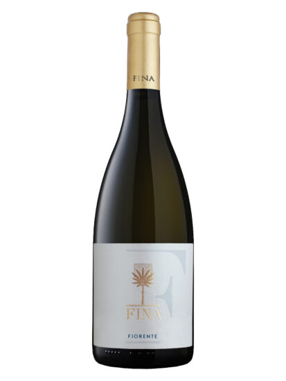 BIANCO, CANTINE FINA, CATARRATTO, TERRE SICILIANE, Su i Vini di WineNews