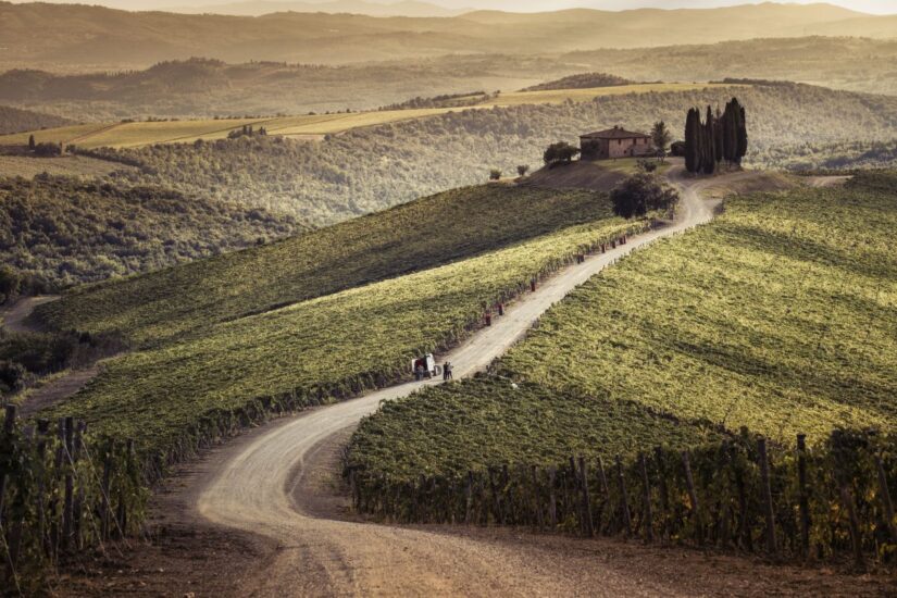 “Sangiovese Notes” nel Vigneto Capanna di Castiglion del Bosco a Montalcino, con i vini della griffe, di Argiano e Capanna