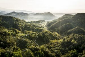Se tanti in Italia pensano a &ldquo;ridurre&rdquo; la produzione, il &ldquo;Prosecco&rdquo; programma la crescita