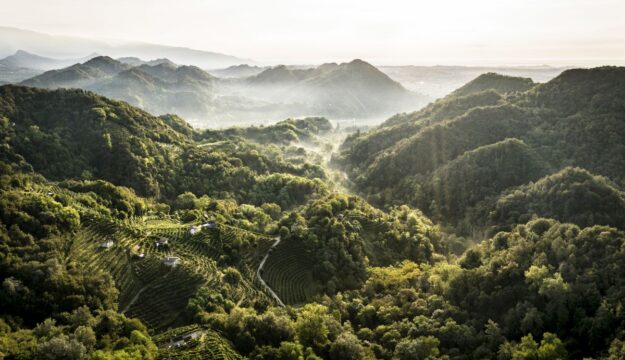 Se tanti in Italia pensano a &ldquo;ridurre&rdquo; la produzione, il &ldquo;Prosecco&rdquo; programma la crescita
