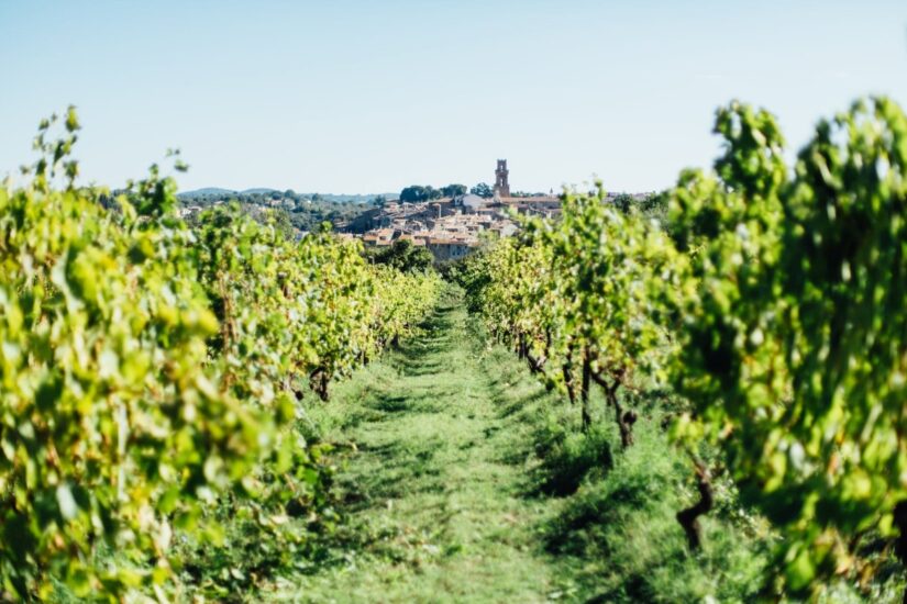 Bianco di Pitigliano, tradizione millenaria che festeggia 60 anni di Doc