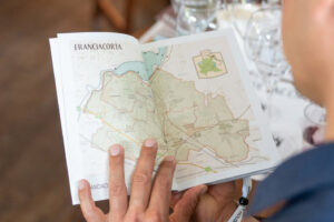 La Franciacorta nei numeri