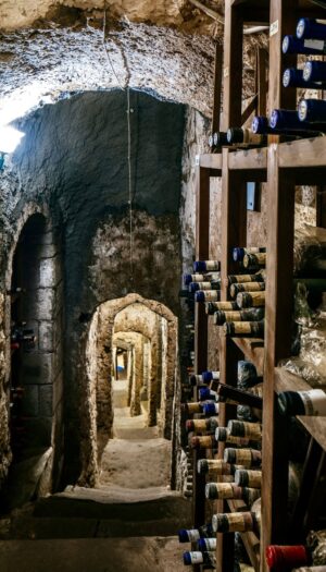 Le pi&ugrave; grandi collezioni di vino al mondo, dove si gioca la scommessa della sua rivalutazione