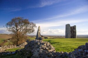 La crescita dell&rsquo;Essex tra i territori del vino, in Uk, attira investimenti, ma anche truffe
