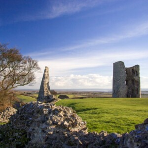 La crescita dell&rsquo;Essex tra i territori del vino, in Uk, attira investimenti, ma anche truffe