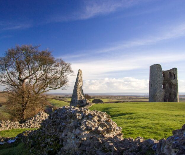 La crescita dell&rsquo;Essex tra i territori del vino, in Uk, attira investimenti, ma anche truffe