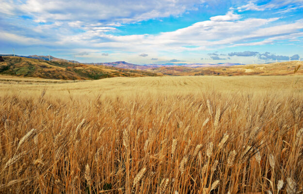 CIA-AGRICOLTORI, GRANO ITALIANO, PASTA, Non Solo Vino