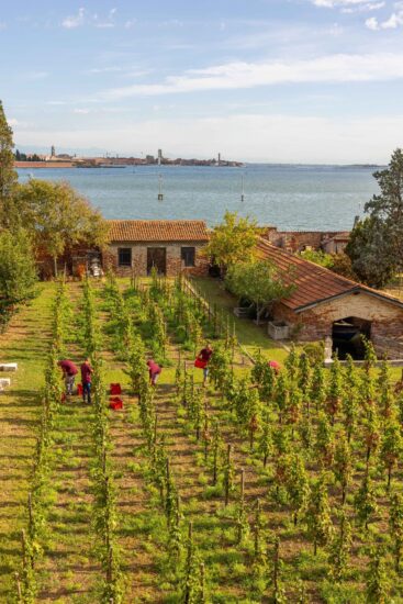 Herita Marzotto Wine Estates, esempio di sostenibilità