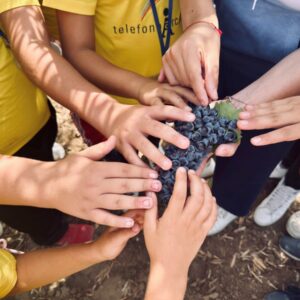 In Sicilia nasce il &ldquo;Patto di Incantaventu&rdquo;, un&rsquo;alleanza tra chi protegge l&rsquo;infanzia e chi la terra