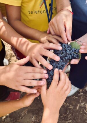 In Sicilia nasce il &ldquo;Patto di Incantaventu&rdquo;, un&rsquo;alleanza tra chi protegge l&rsquo;infanzia e chi la terra